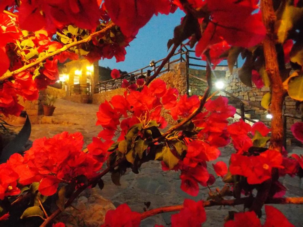 Gasthaus Casale Del Golfo Castellammare del Golfo Exterior foto